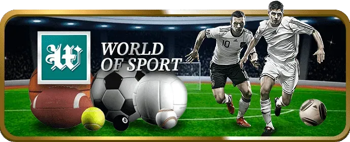 Biểu tượng Live Chat hỗ trợ trực tuyến 24/7